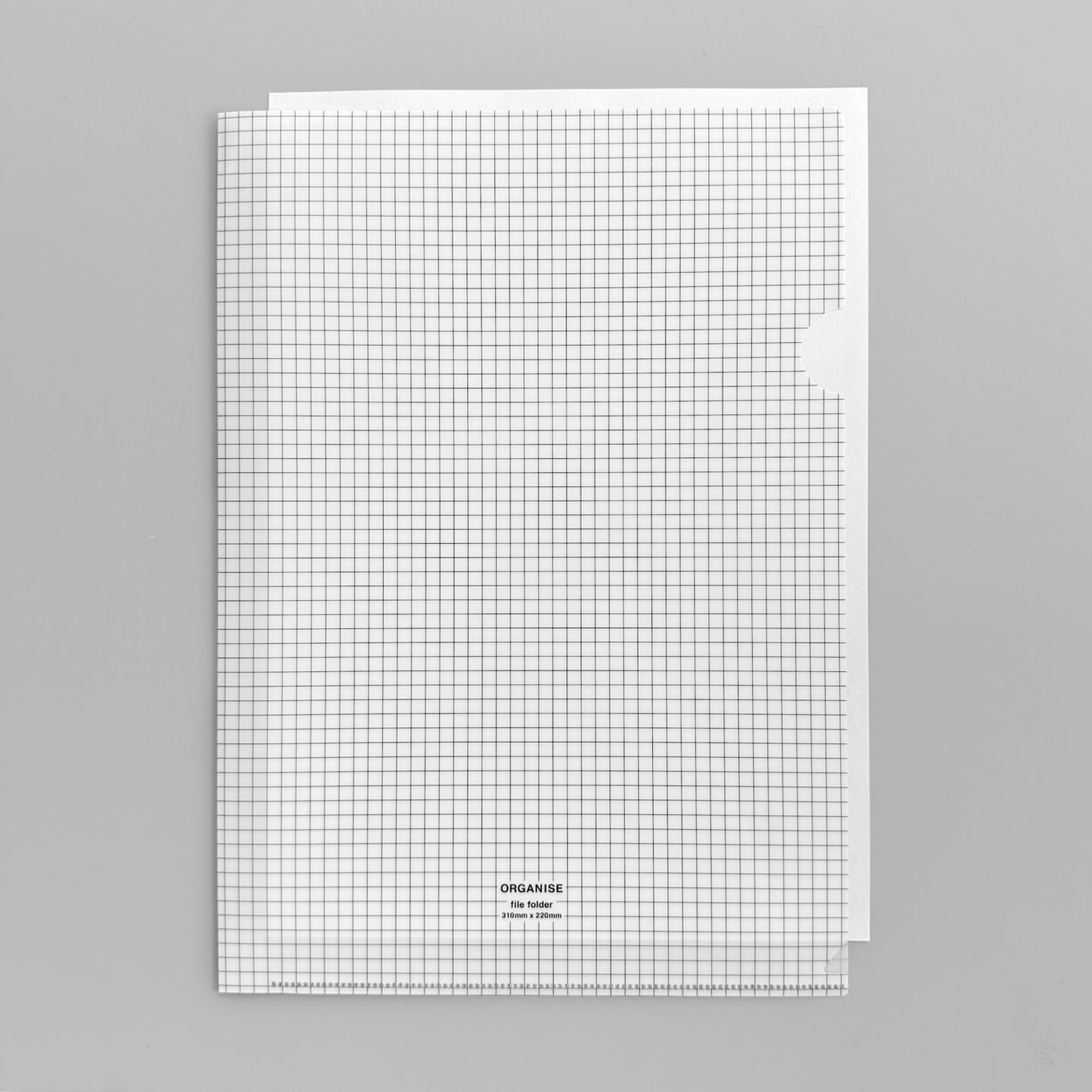 ORGANISE |方眼クリアファイル A4
